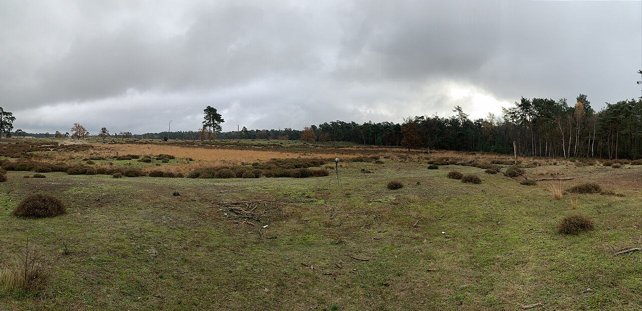 Uittip van de week: Wandeling in Nationaal Park De Loonse en Drunense Duinen
