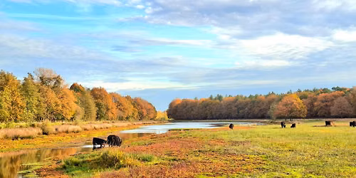 Najaarswandeling Etten-Leur in Brabant