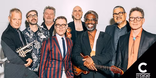 New Cool Collective | De Cacaofabriek in Brabant