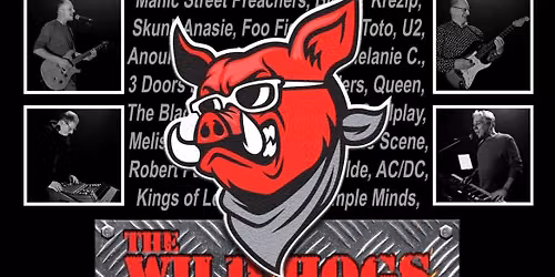 The WILD HOGS — Uitgaan in Brabant