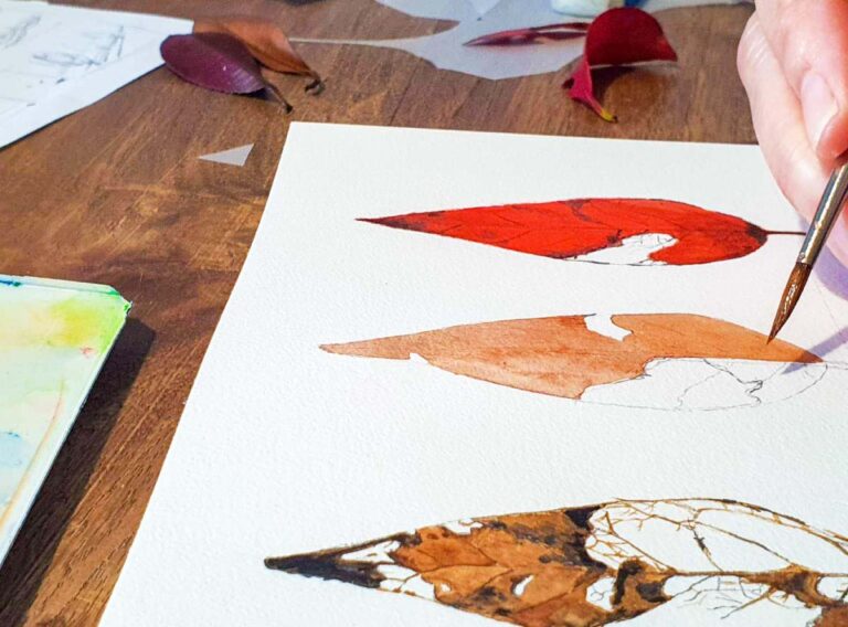 IVN workshop: tekenen in de natuur — Natuur in Brabant