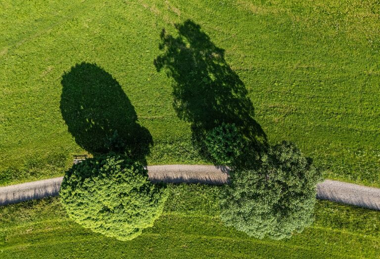 Tilburg Ten Miles Wandeltocht — Natuur in Brabant