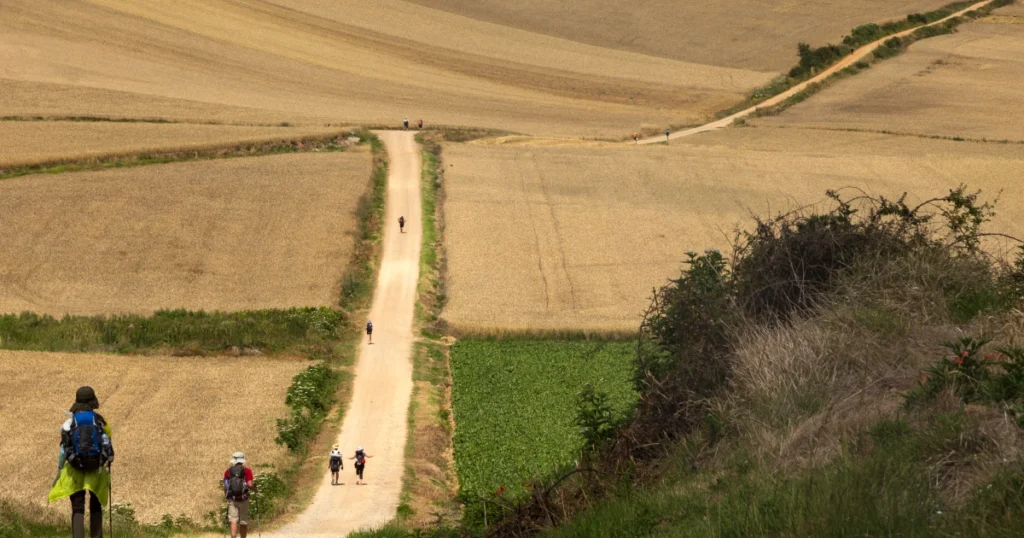 De Camino. De reis van je leven… in Brabant