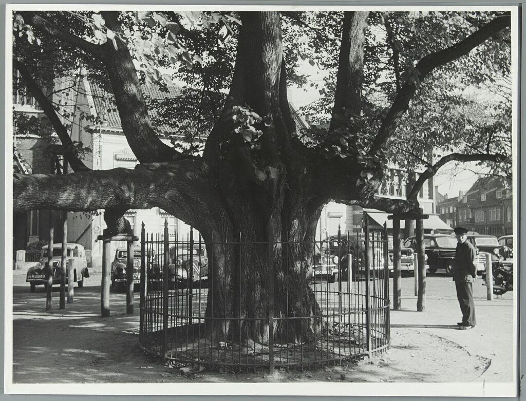 Markt op Het Heuvelplein in Tilburg
