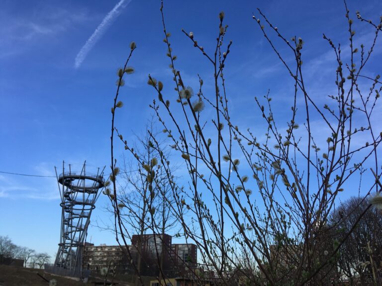 IVN workshop: tekenen in de natuur — Natuur in Brabant