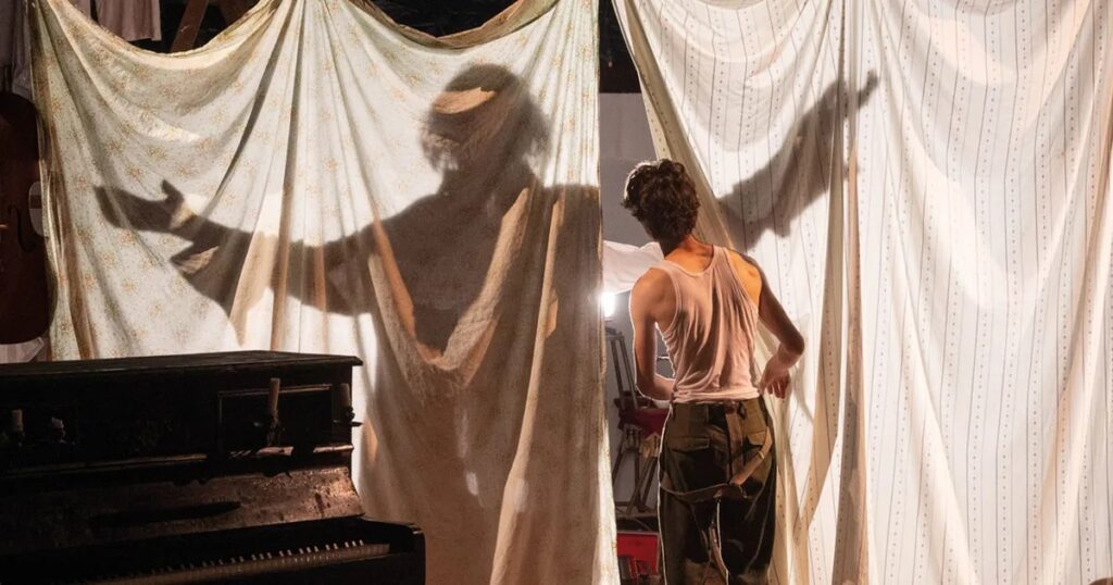 Sono Io – circus in Brabant