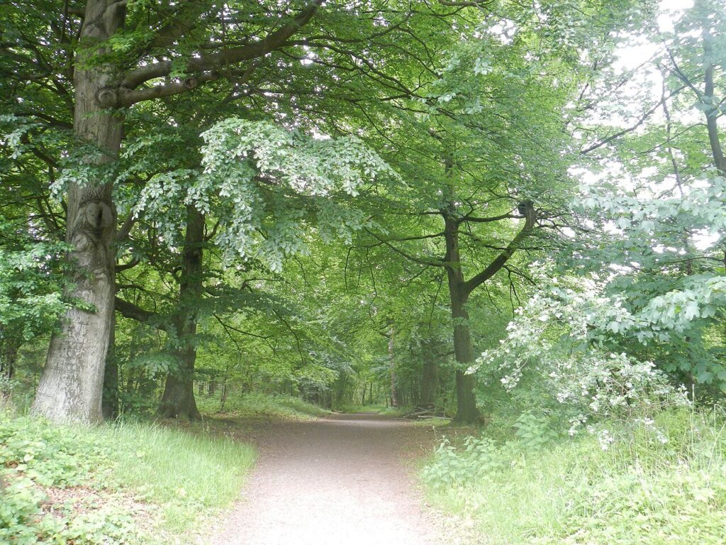 Marie Koet – Eindspel in Brabant