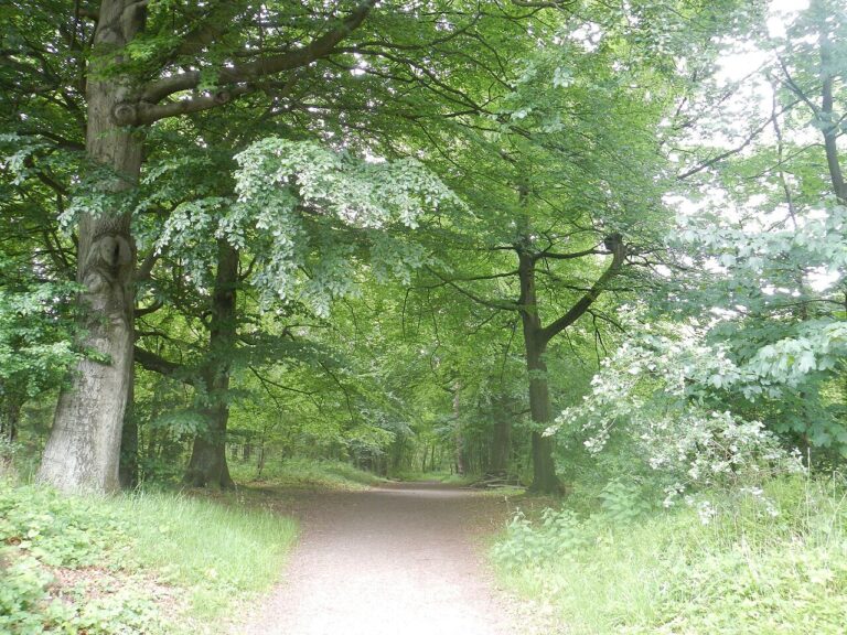 Marie Koet – Eindspel — Natuur in Brabant