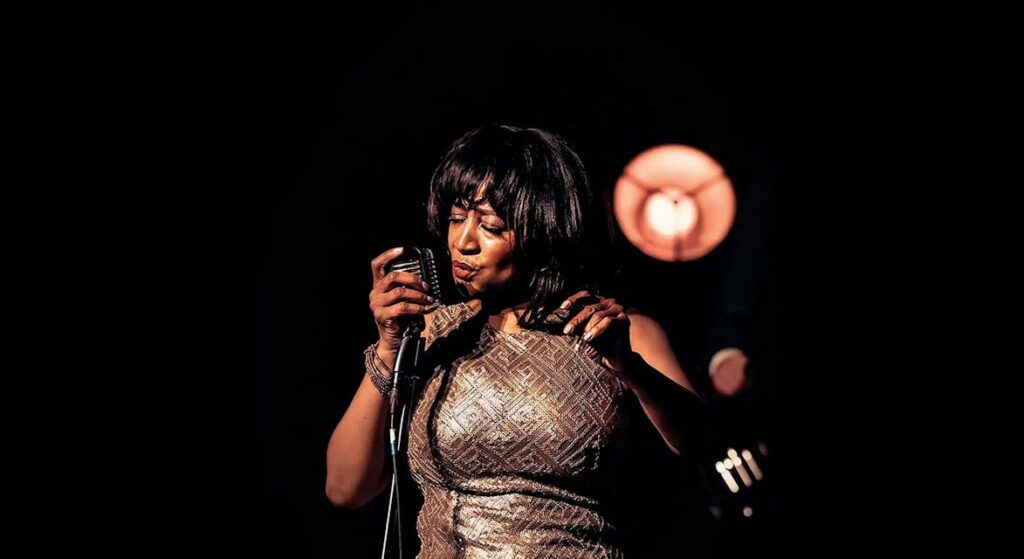 This is TINA! A Tribute to Tina Turner in Brabant