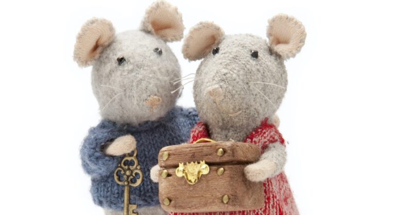Sam & Julia op avontuur (3+) — theater in Brabant