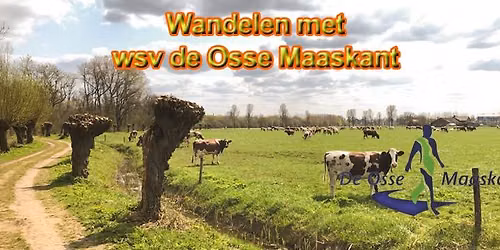 Herfstwandeltocht Geffenseveld 2026 in Brabant