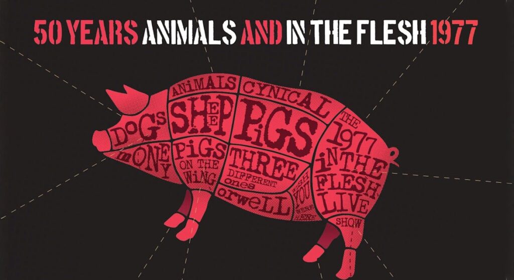 Pink Floyd Project – 50 Years of Animals & In The Flesh Tour in Brabant
