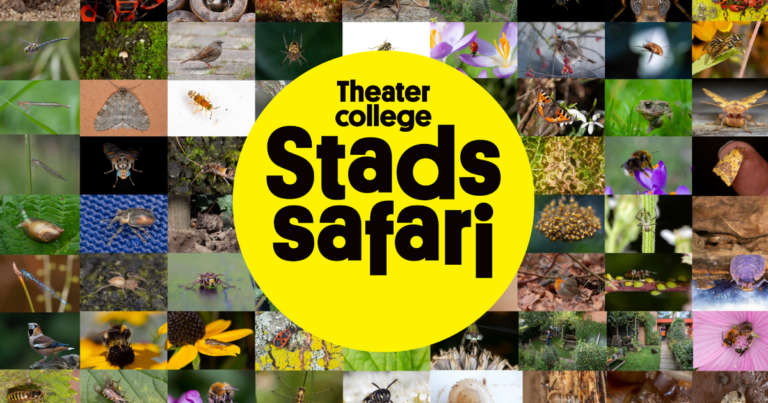 Stadssafari (6+) Theatercollege van de makers van ‘De Nieuwe Wildernis’ en ‘De Wilde Noordzee’ — theater in Brabant