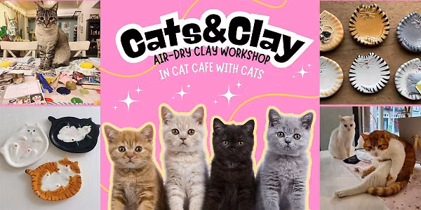 Cats&Clay – clay workshop in cat cafe with cats – Tilburg — Uitgaan in Brabant