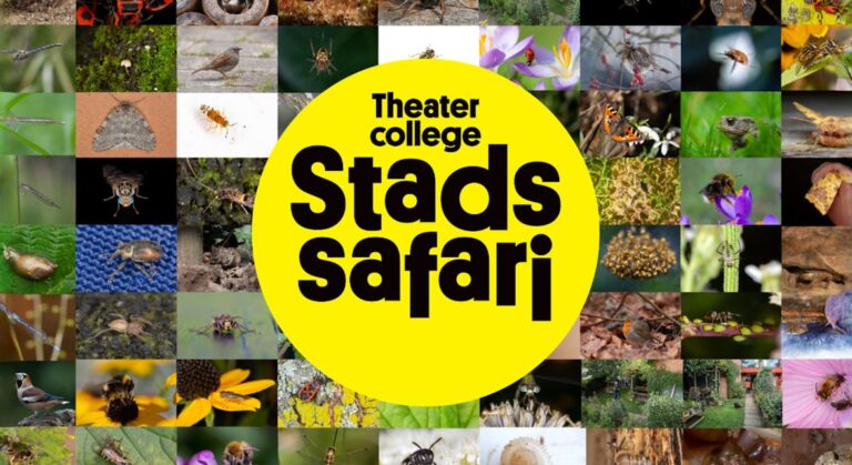 Stadssafari — theater in Brabant