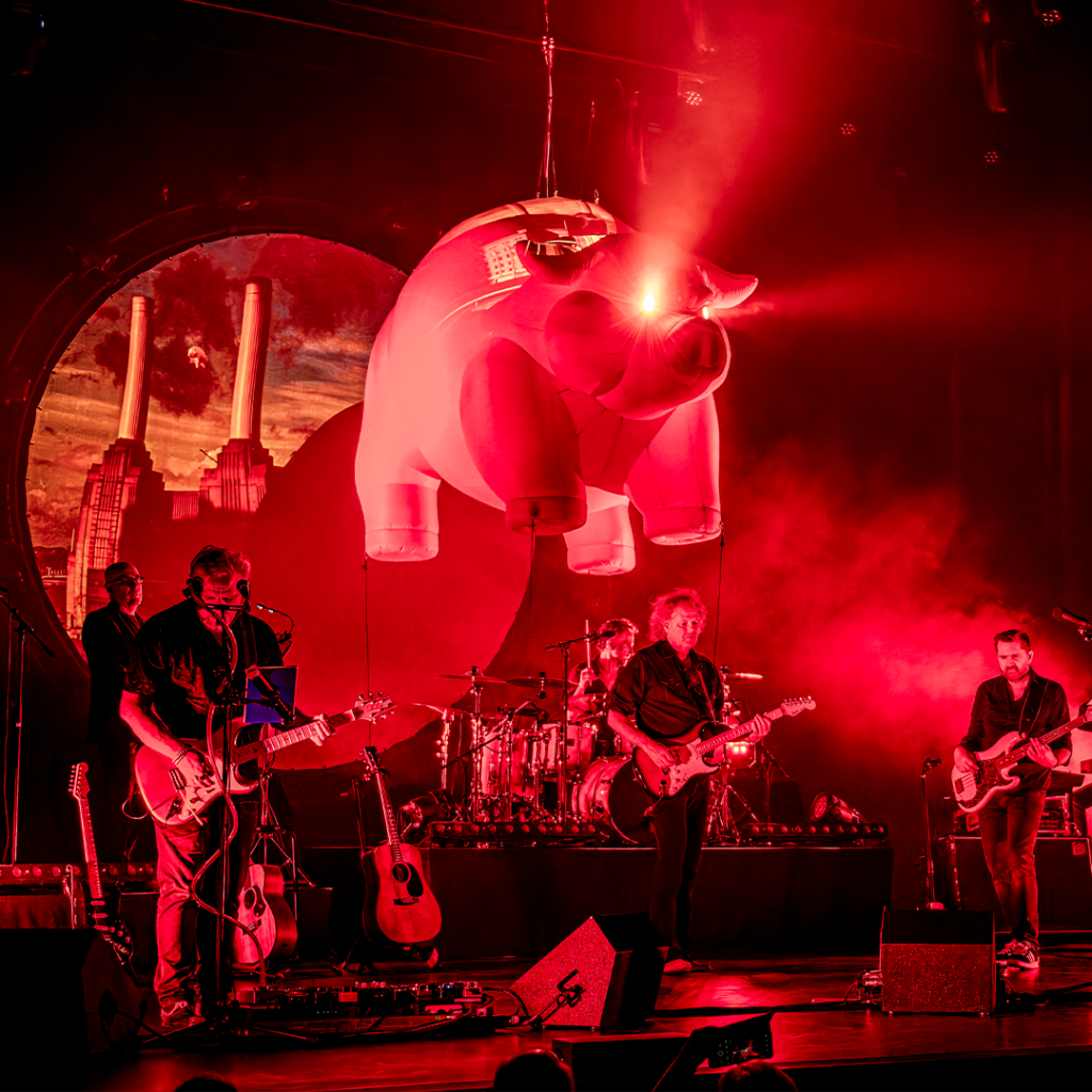 Pink Project: Echoes in Brabant